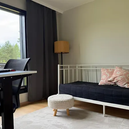 Lapland Nordic Arctic Circle روفانييمي